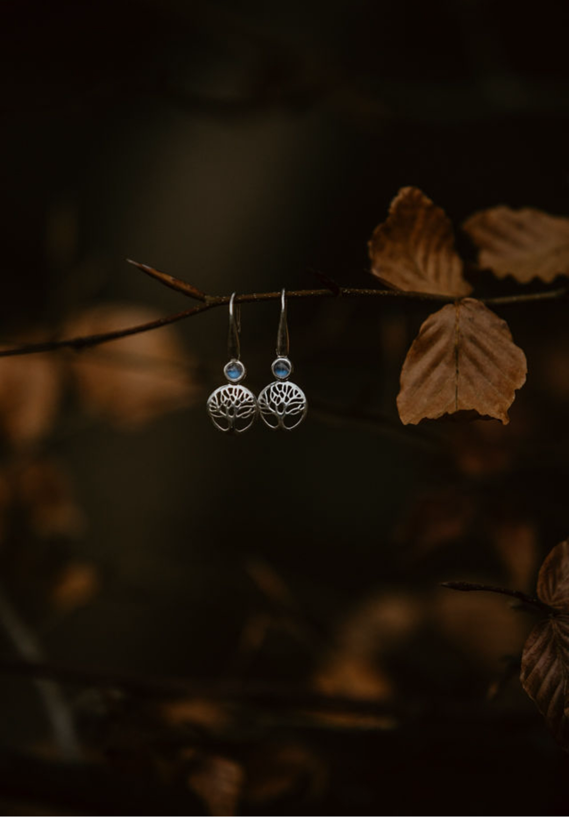 Moonstone and Tree of Life Earrings