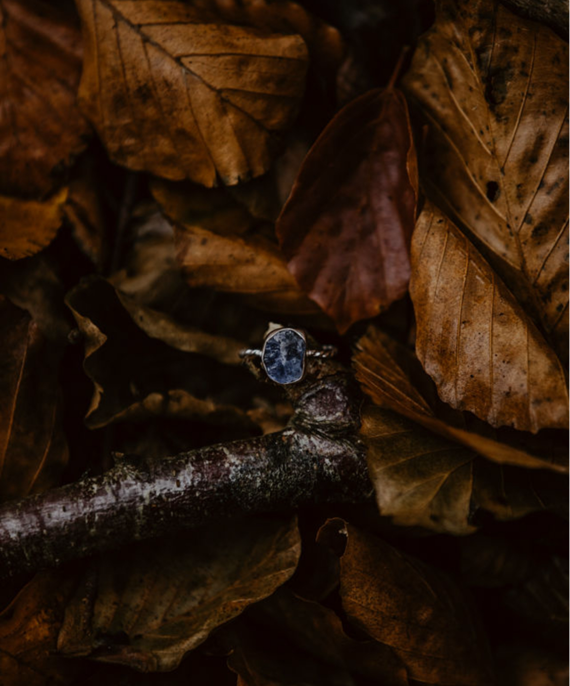 Tanzanite Ring (Raw)